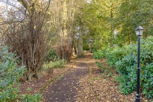 Photo 32- click for photo gallery